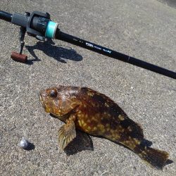 エギング＆穴釣り